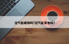 沼气能赚钱吗?沼气能发电吗?